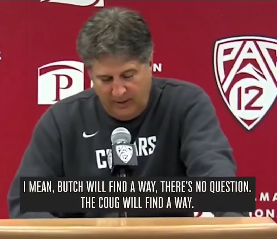 Go Cougs
<a href="/WSUCougarFB/">Washington State Football</a>