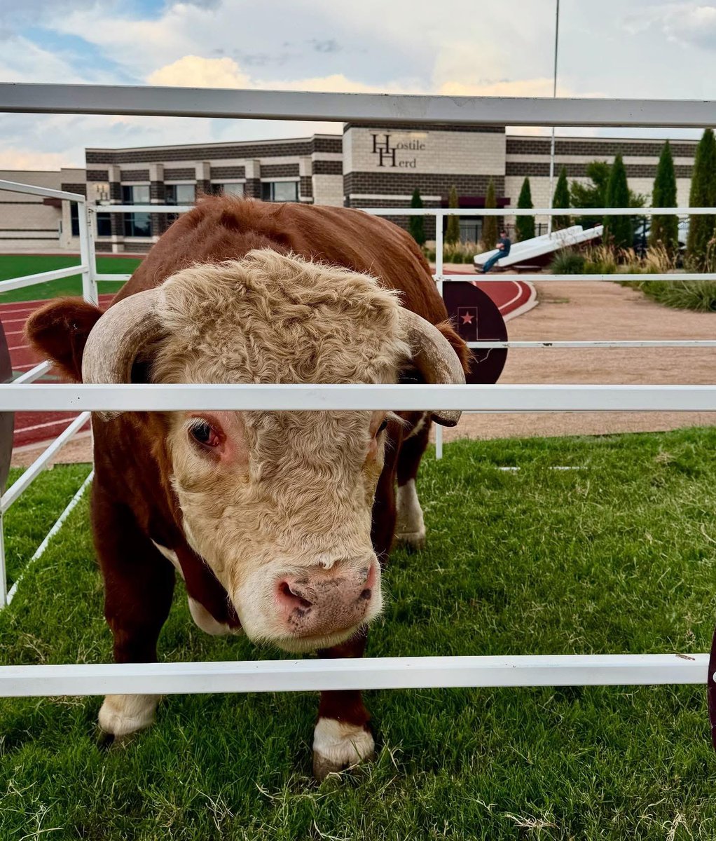 Meet the Herd 2025 was a success getting everything in between the lightning and storms! ⛈️