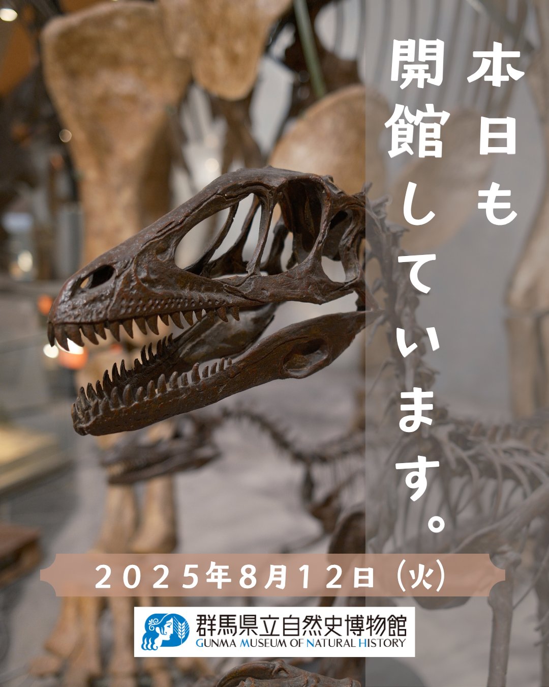 化石 恐竜　博物館級!! Platecarpus ptychodon !貴重!! 化石 恐竜 博物館級!! Platecarpus ptychodon !貴重!! - メルカリ