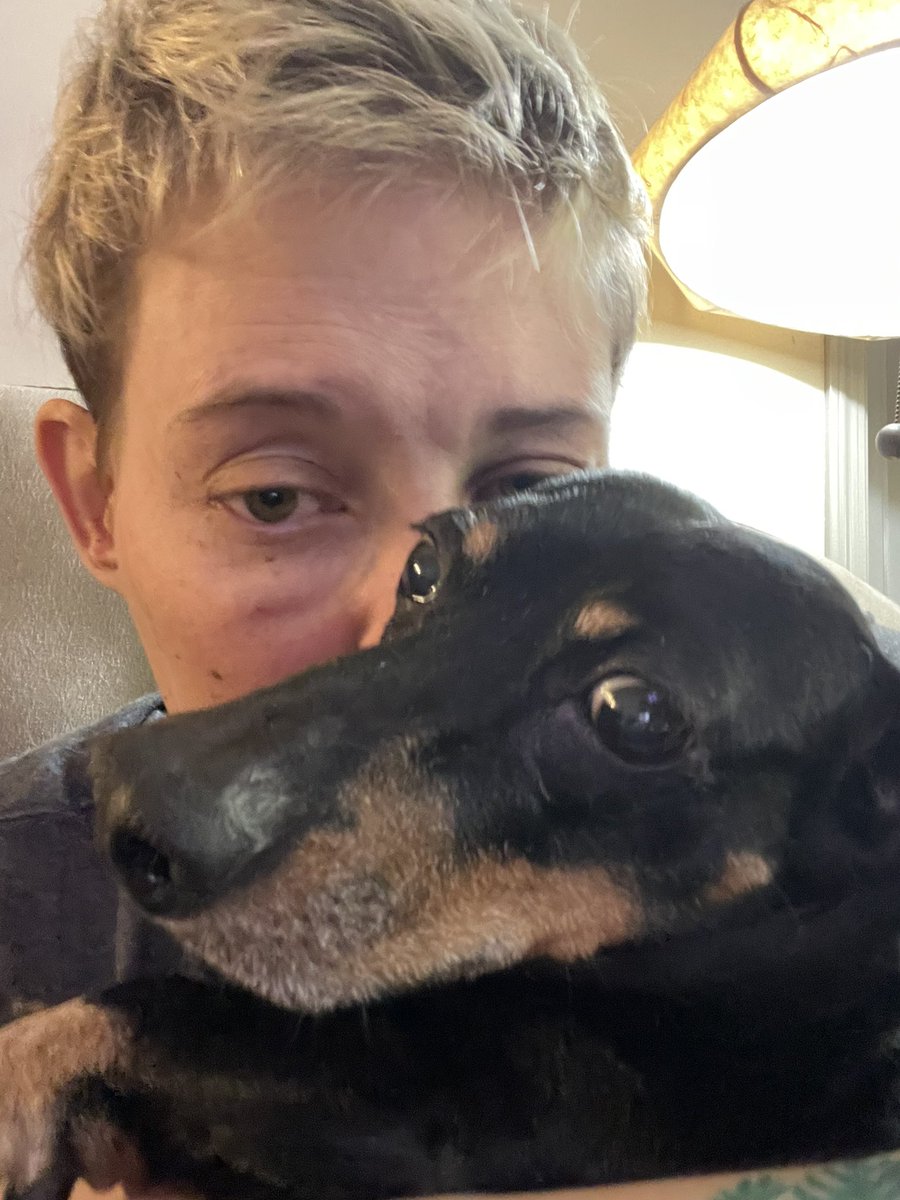 I’M HOME!!! I have been doing nothing but sobbing and covering the dogs with kisses. I’m never leaving them again.