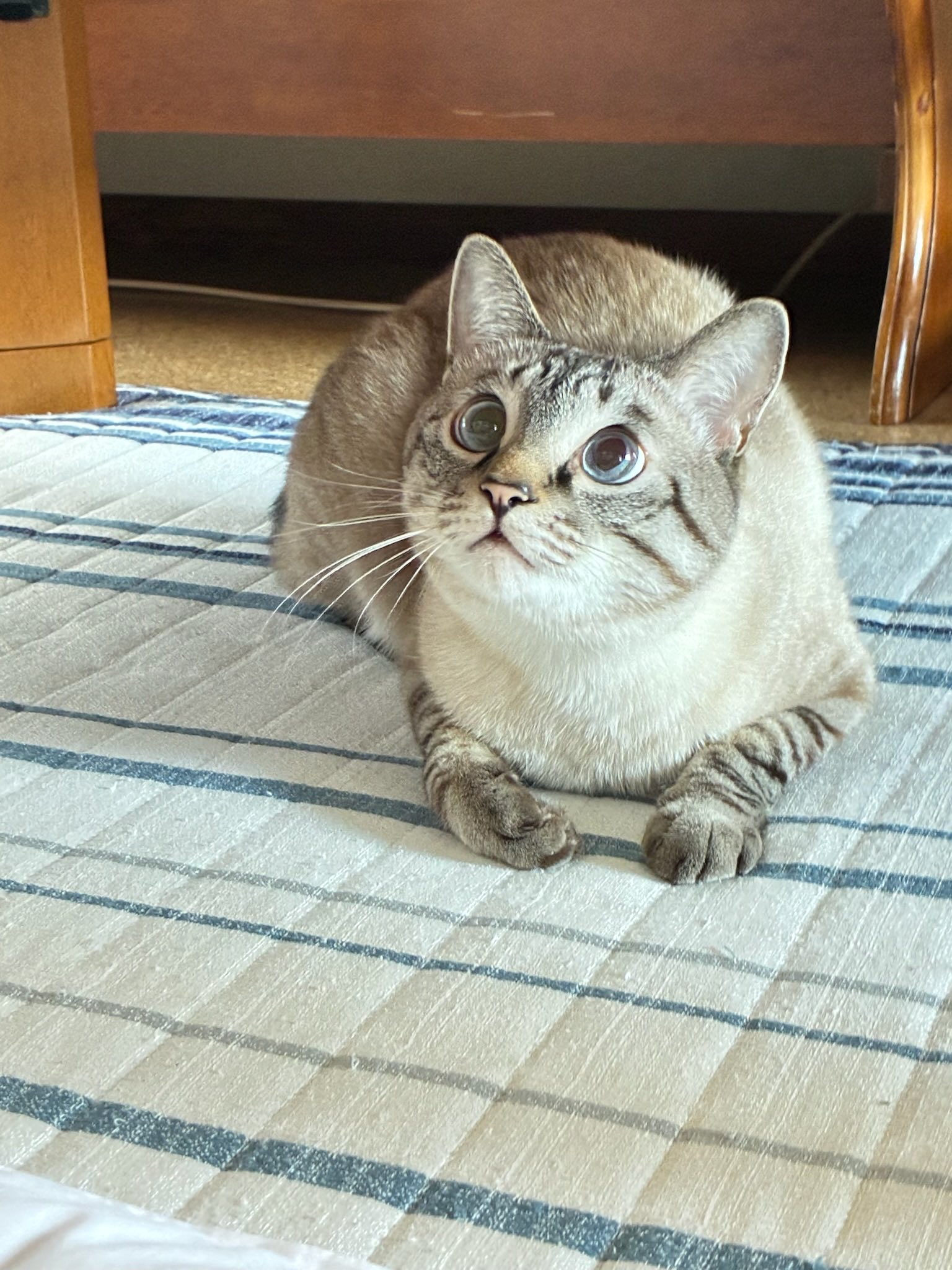 そらです☻ GfZftfAaEAAoudw.jpg