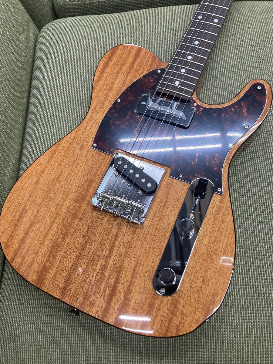 Tokai ATE103S N カタログ外モデル 主要のボディ、ネック材は