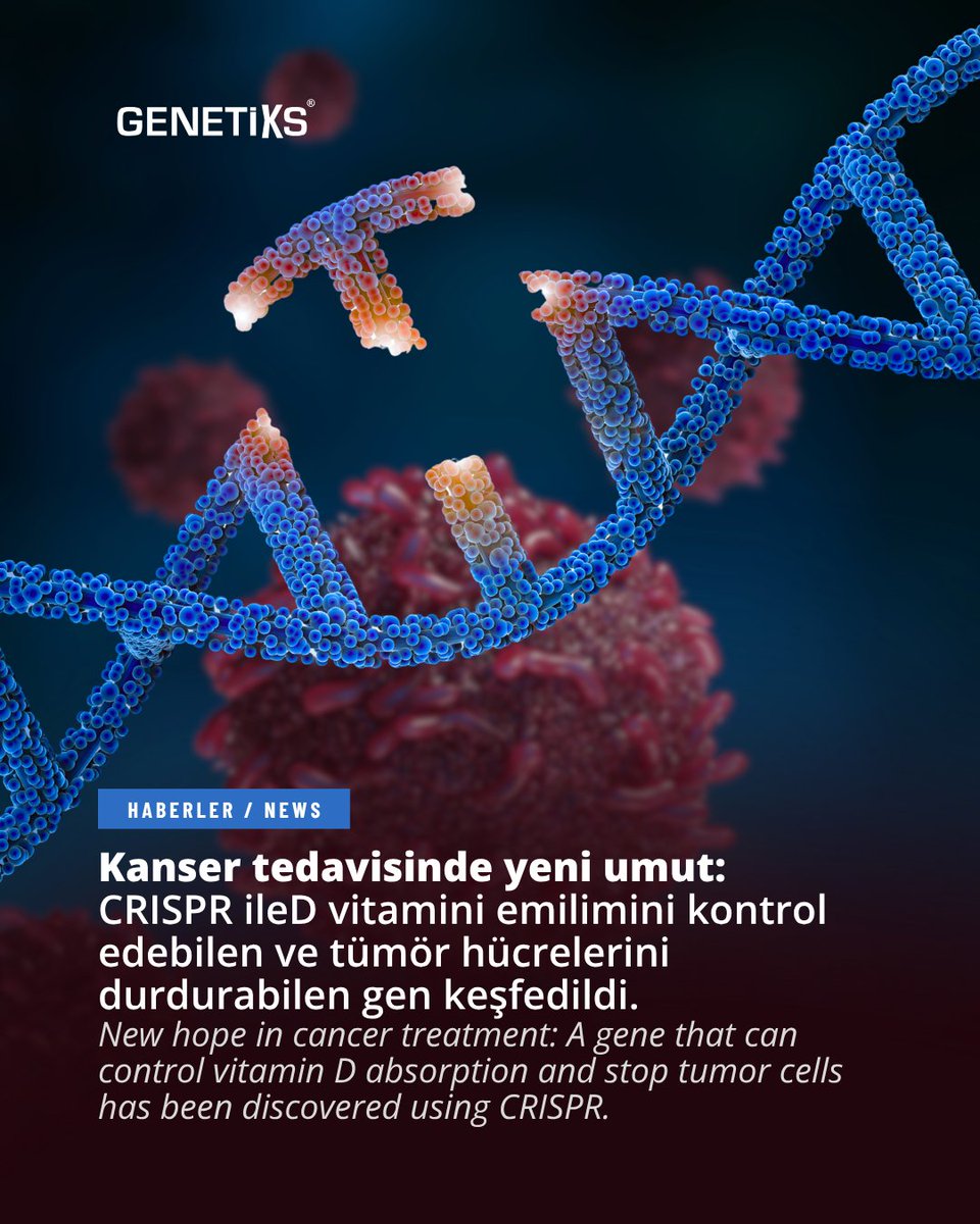 “#SDR42E1 adlı bir genin, vücudumuzun D vitaminini nasıl emdiği ve işlediği konusunda kilit bir rol oynadığı tespit edildi. Araştırmacılar, #kolorektalkanser hücrelerinde bu genin devre dışı bırakılmasının yalnızca kanserli hücrelerin hayatta kalmalarını engellemekle kalmayıp,