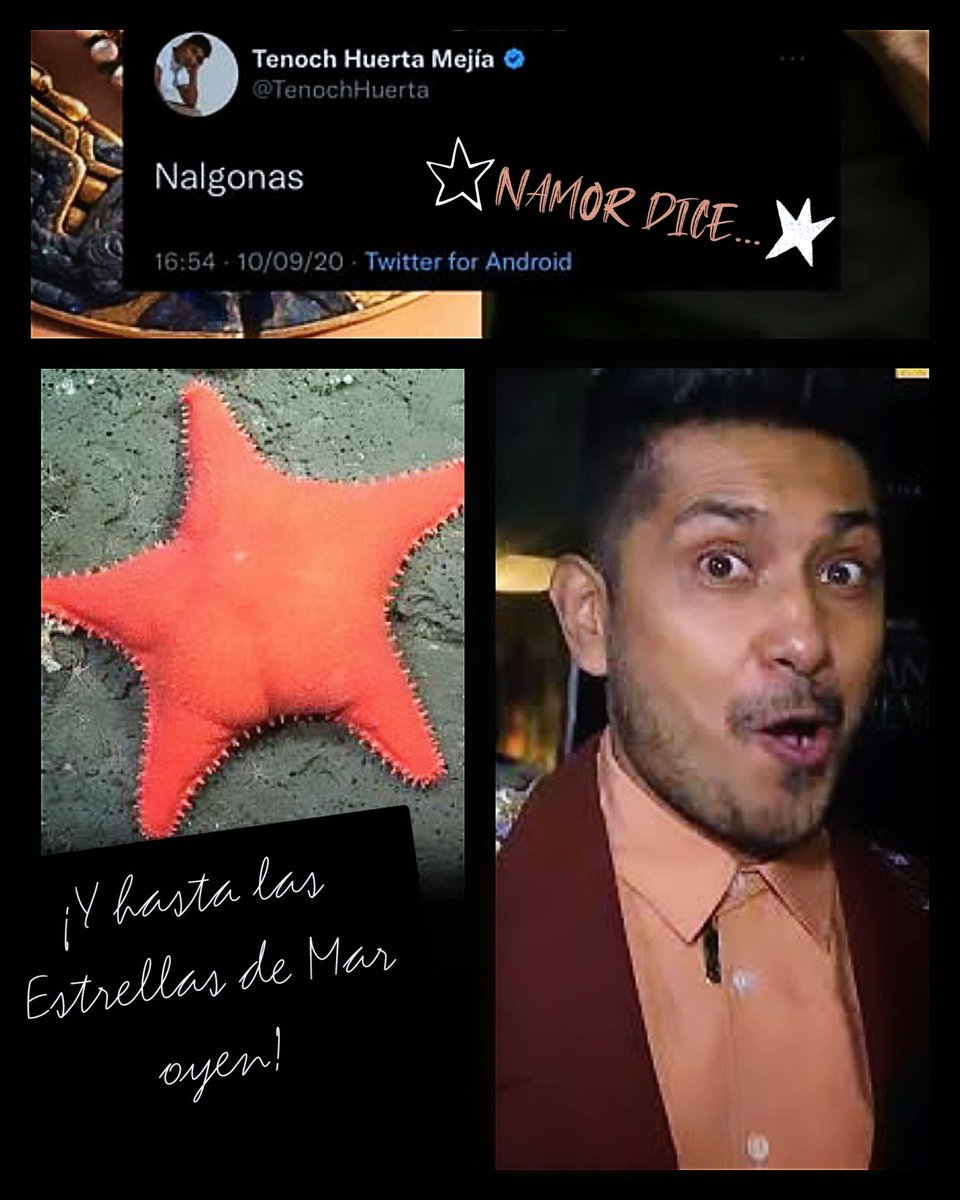 TenochVerse's tweet photo. #MemeNamor Cuando el Rey #Namor habla hasta las estrellas responden ✨ ya entraron en el ocean gym? 😜🤣

#TenochHuerta #Namor #Tenoch https://t.co/gcBcoy4Miw