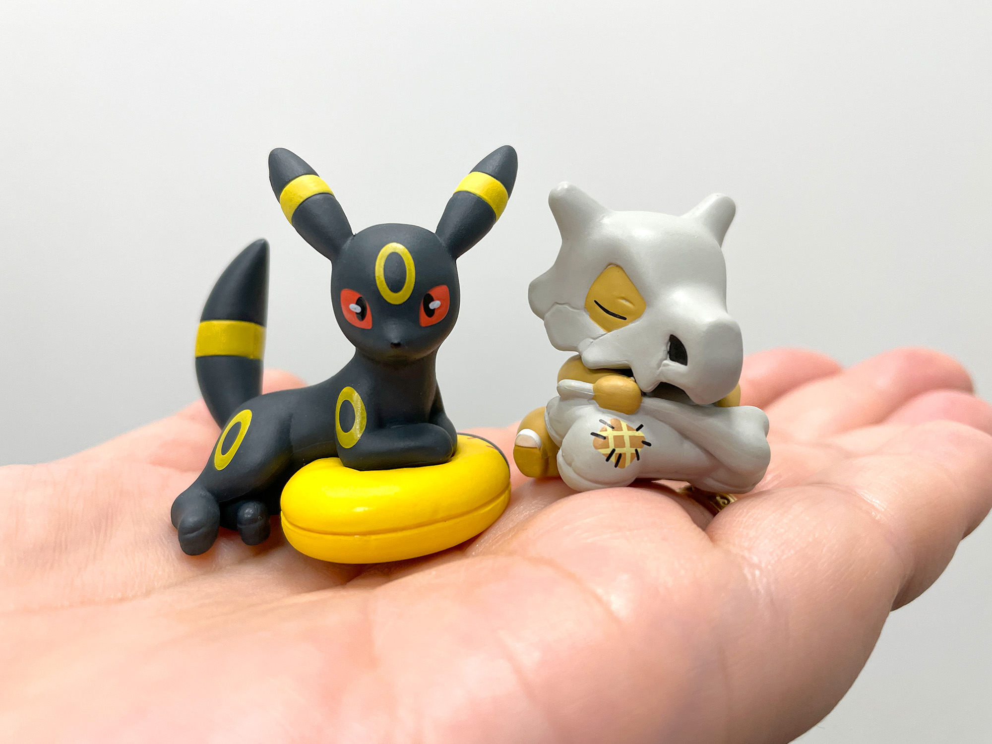 ほわほわねこちゃん(⁠*⁠˘⁠︶⁠˘⁠*⁠)⁠　小さなお友達✿猫 ねこちゃんホンポ | 今日はちょぼの5歳の誕生日🎉 5歳になっても