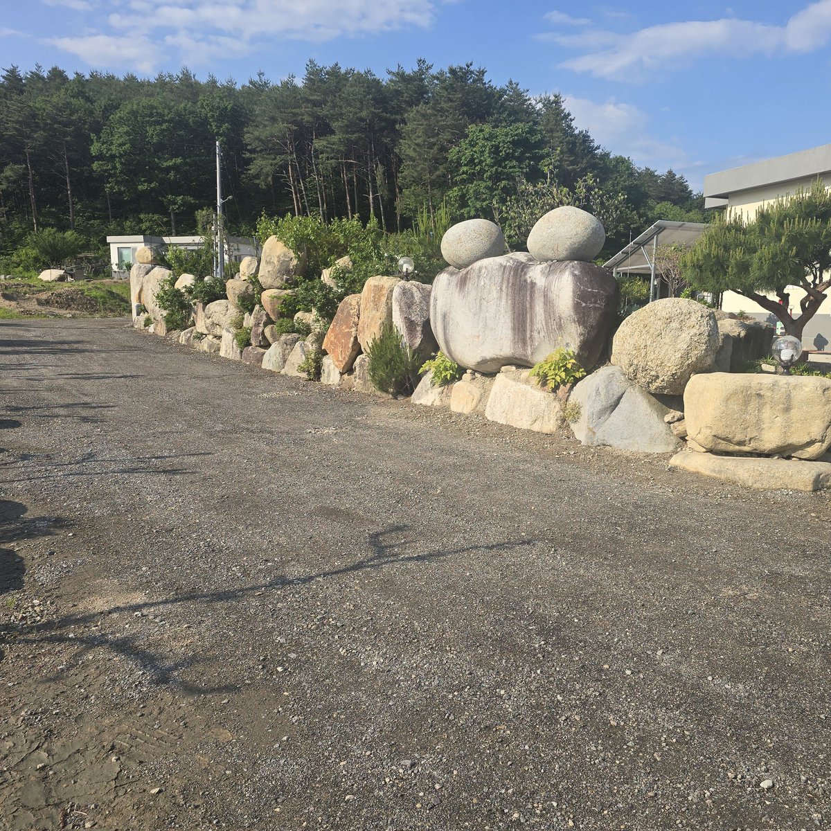 stroby2002's tweet image. #NewProfilePic