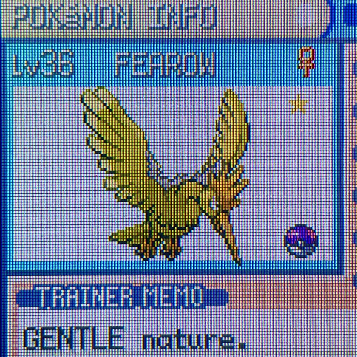 Full odds Shiny Fearow caught while grinding for the Elite Four on my Leaf Green play through! First full odds shiny caught while not specifically shiny hunting 🙏 Female Gentle Nature

Incredible sprite design