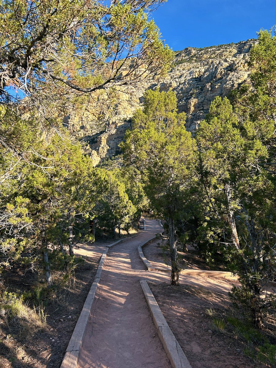 Amber_Trickster's tweet photo. Hideout - Lake Flaming Gorge, Ashley National Forest https://t.co/58HlPBKcwV