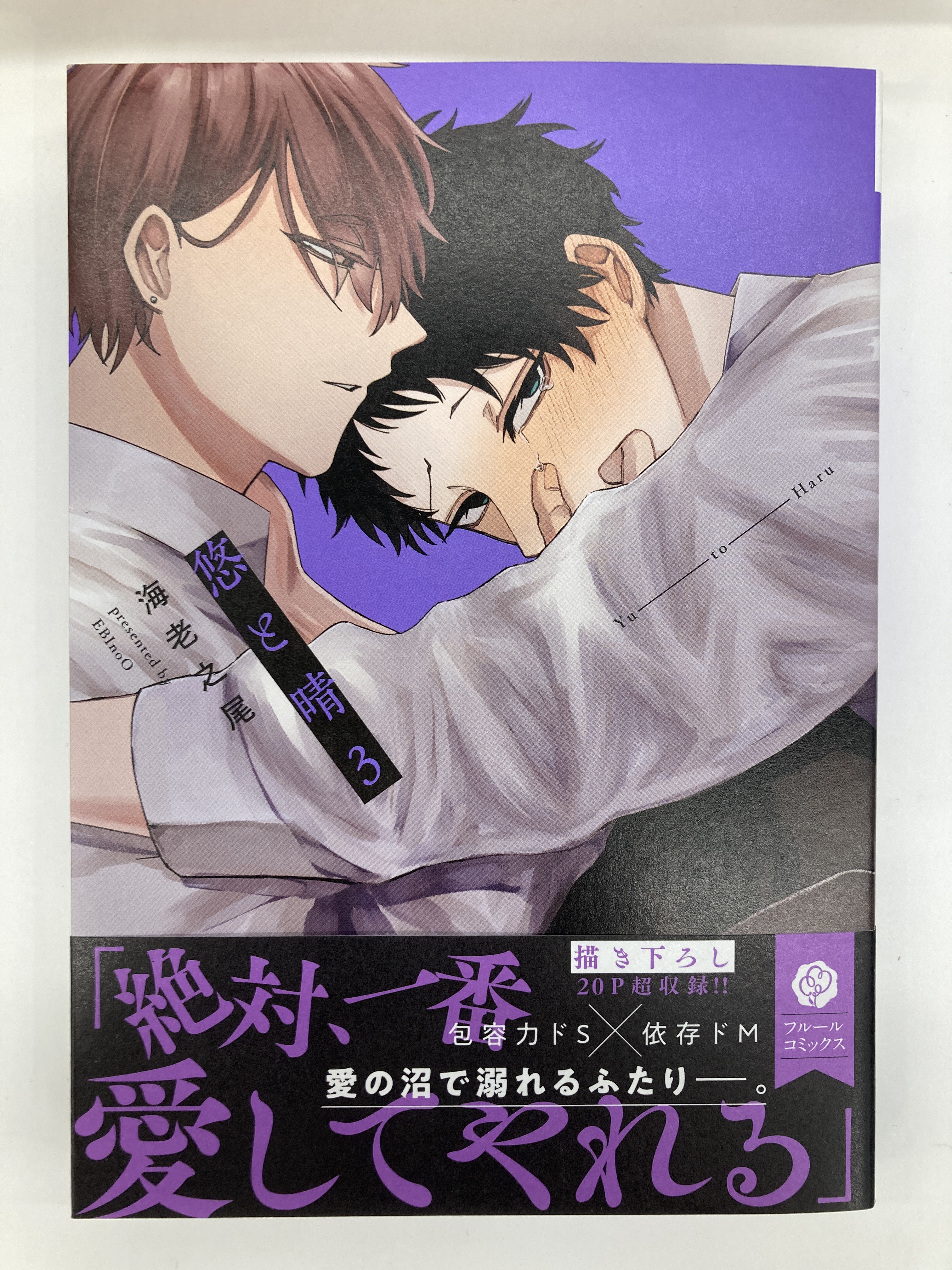 書店限定特典4Pリーフレット付商業BL23冊セット 書店限定特典4Pリーフレット付商業BL23冊セット アニメイト京都