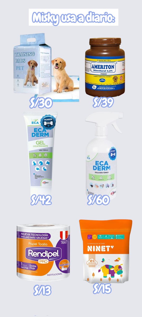 _arlettesalazar's tweet photo. #Misky Necesita a diario:
*Pañales
*Ameriton crema
*Ecaderm (gel/spray)
*Rendipel
*Pañitos húmedos
*Latitas de paté
#Apadrina ✨
Porfavor ayudemos a cubrir lo necesario para seguir dándole  calidad de vida!
Cuentas de ayuda👇🏼🩵 https://t.co/vQgf1I9e06