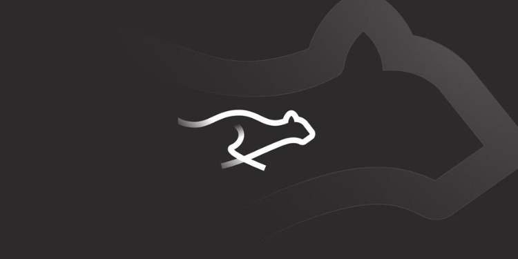 pixelDruid tweet media