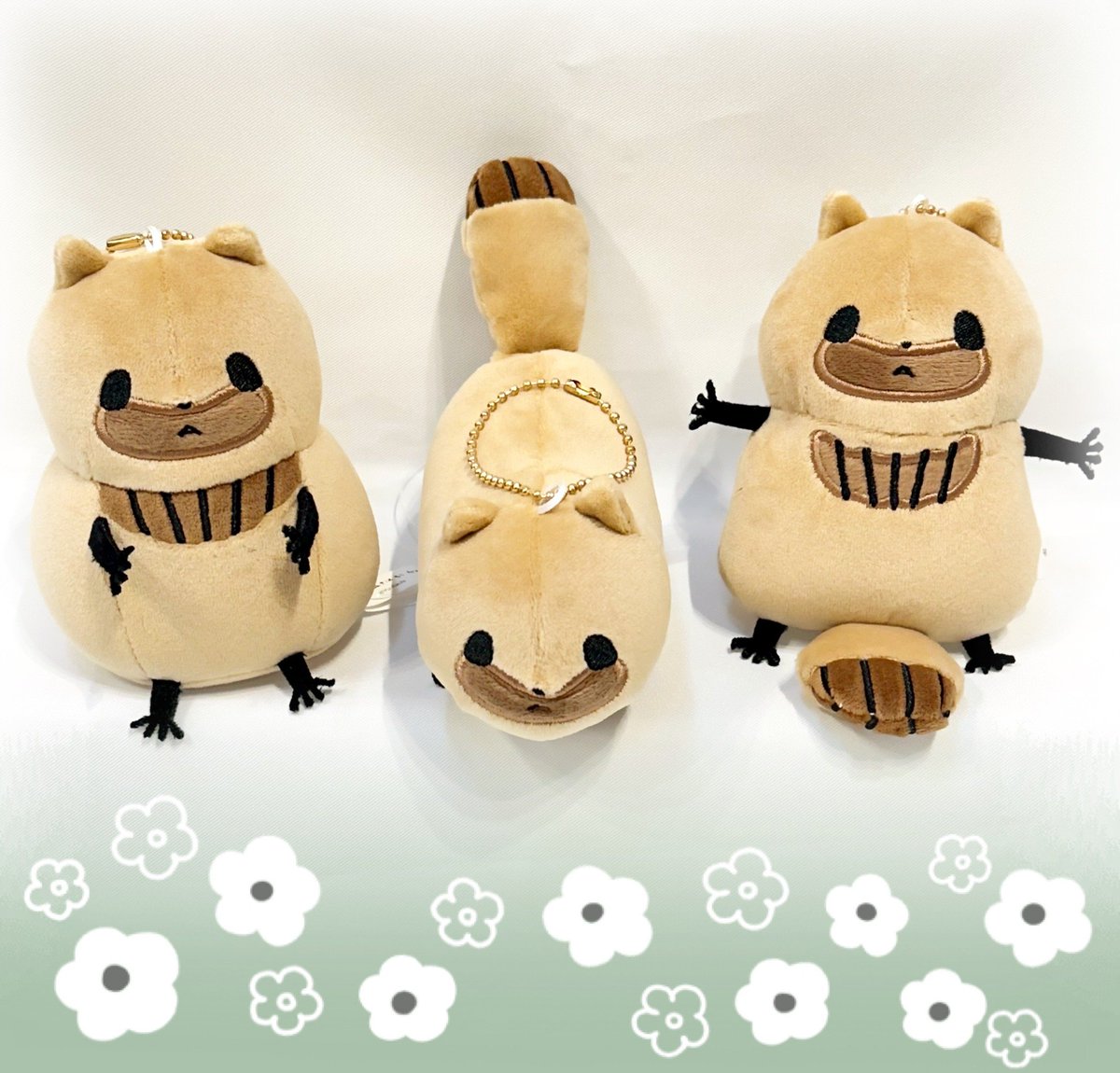 🍠入荷情報🍠　

『嗚呼、たぬきはもうだめです』の商品が入荷✨

🍪むにゅぐるみマスコット🍪
お座り/ 通常/ おしめぇだ
の全3種類💗

約12センチでお部屋に飾るにもお出掛けにもピッタリなサイズ感です❣️

🎡HEP FIVE6Fにて皆様のご来店をお待ちしております
#嗚呼たぬき