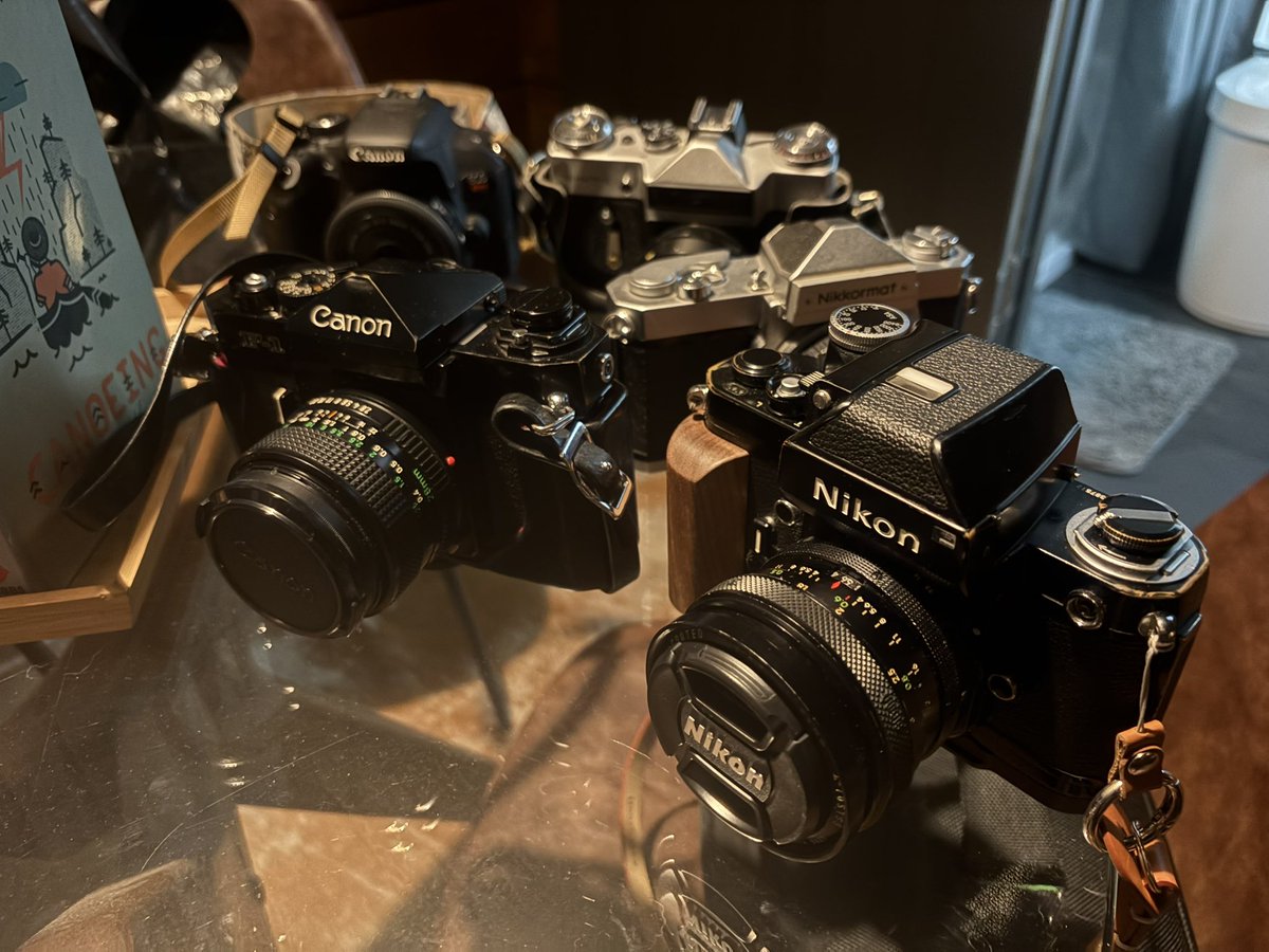 ʙᴇᴄᴋʏ ʙᴇx tweet media