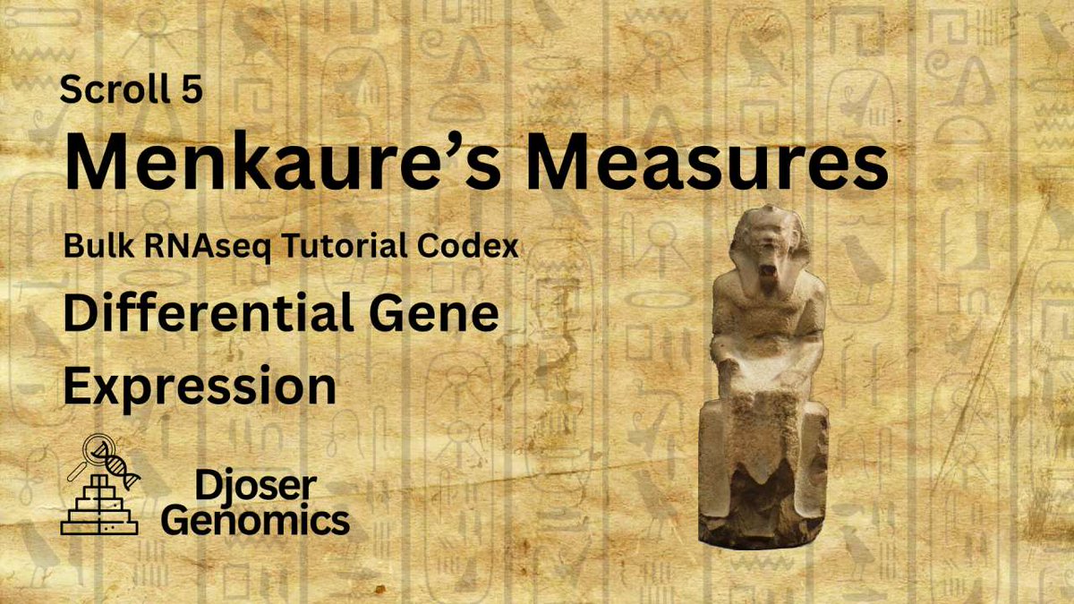 📜 Scroll V: Menkaure's Measures!

We dive into Differential expression analysis (DEA), using DESeq2, and how to interpret the findings

Check it out: djosergenomics.github.io/Scroll-5-Menka…

#bioinformatics #RNAseq #scicomm