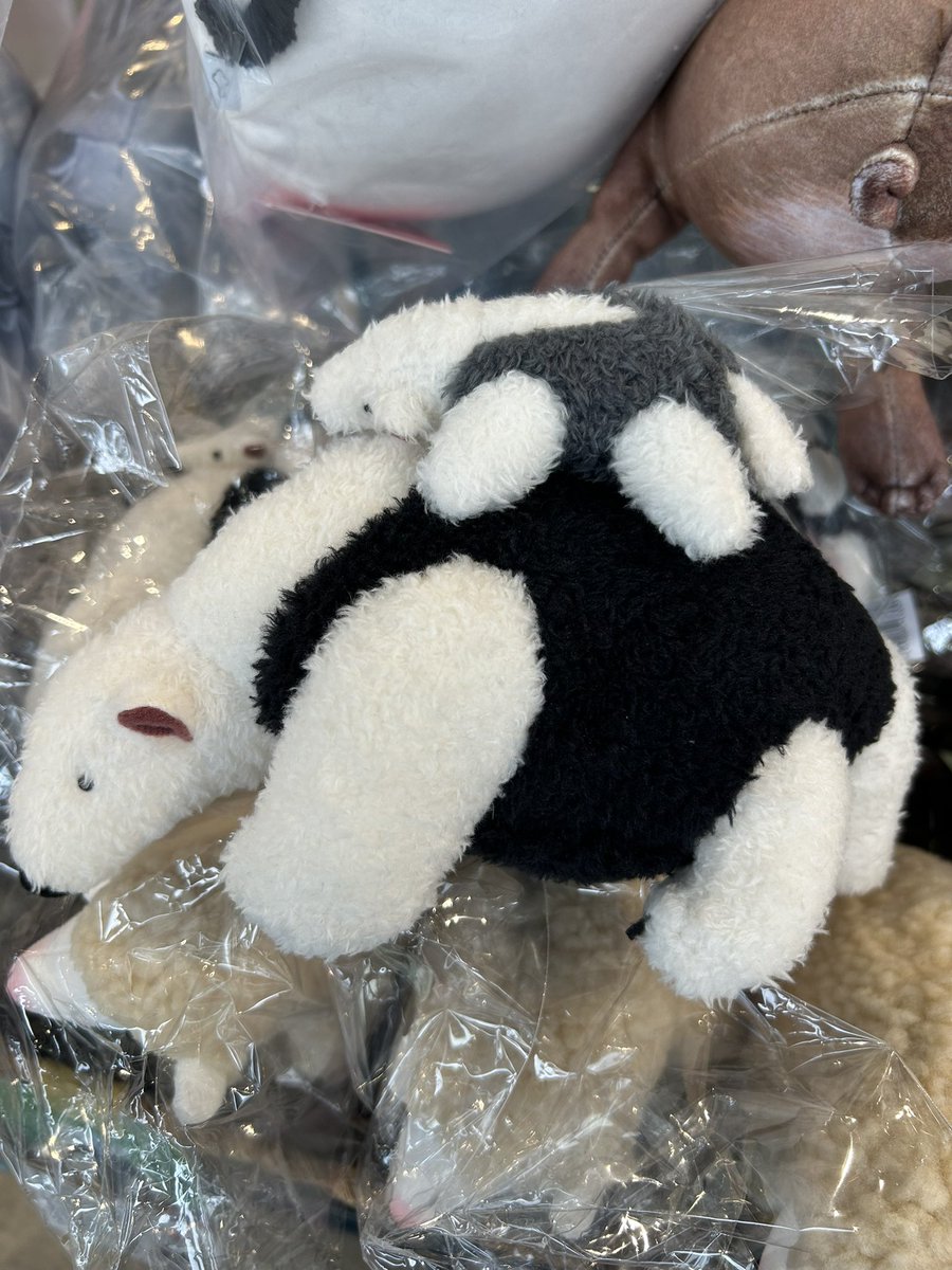 way_tenri's tweet photo. /
📣フェリシモYOU+MORE! POPUP開催!
\
可愛らしい動物雑貨がたくさん入荷しました🐼
9月14日まで期間限定実施、是非お越しくださいませ。
オススメは「ミナミコアリクイ親子ポーチ」😍
#フェリシモ #YOUMORE
#ミナミコアリクイ https://t.co/hghlUVo7cN