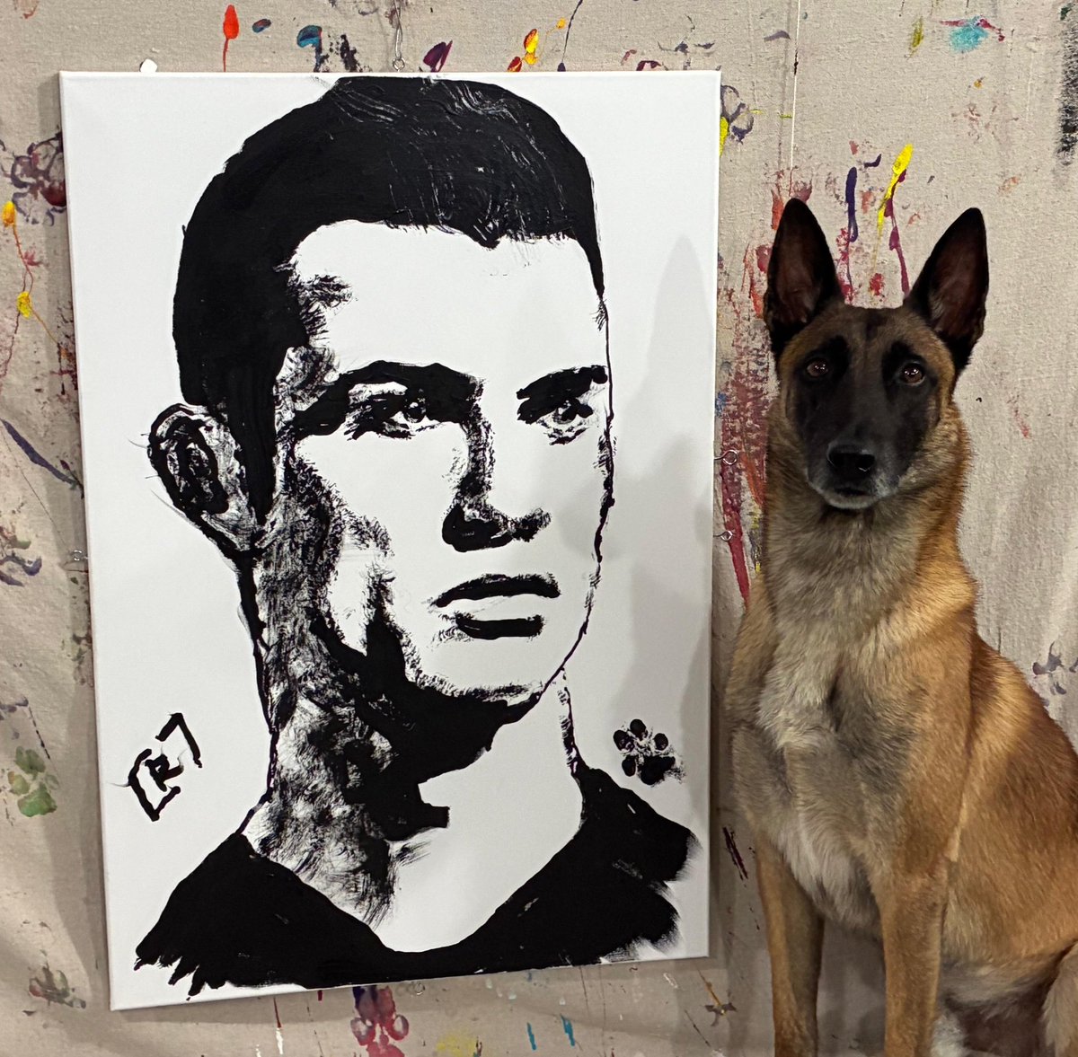 Surprise from <a href="/Omar_von_Muller/">Omarvonmuller</a> 

Video dropping soon....

<a href="/Cristiano/">Cristiano Ronaldo</a> 
<a href="/AlNassrFC/">نادي النصر السعودي</a> 
<a href="/realmadrid/">Real Madrid C.F.</a> 
<a href="/ManUtd/">Manchester United</a> 
<a href="/TrollFootball/">Troll Football</a>