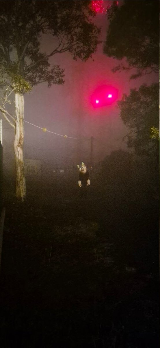 Toast 🇦🇺🏳️‍🌈 tweet media