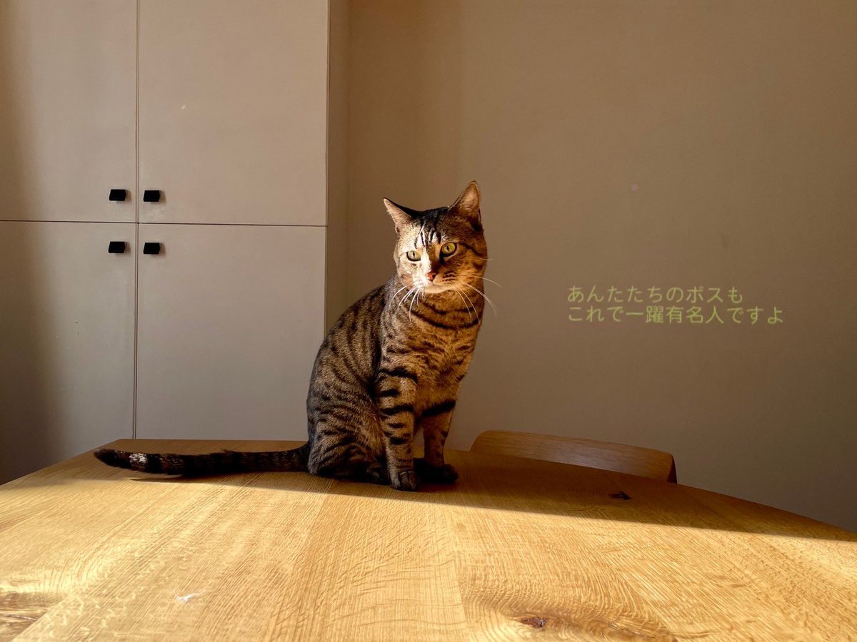 この写真好き