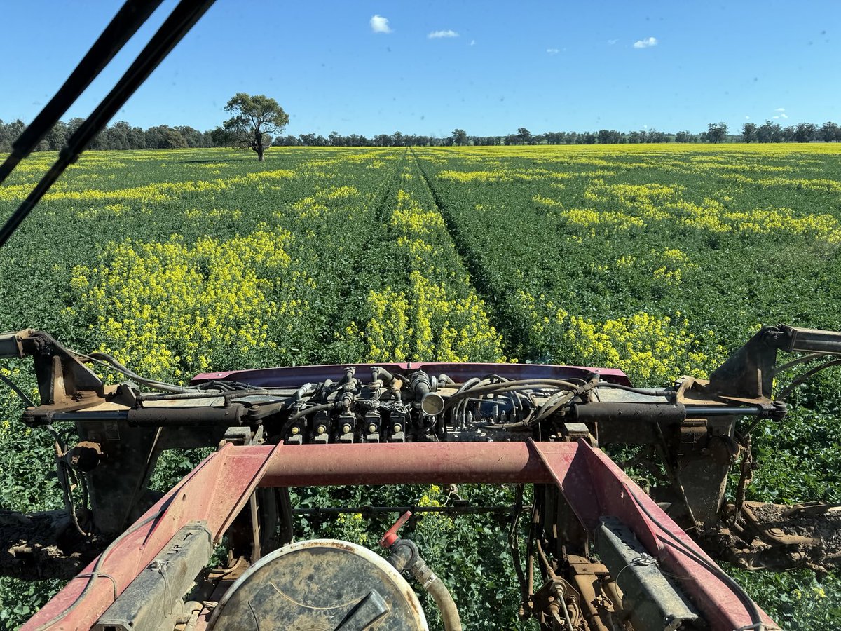 Jamie Wright tweet media