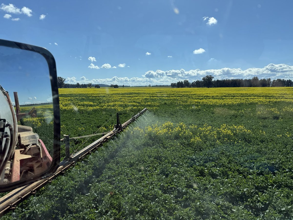 Jamie Wright tweet media