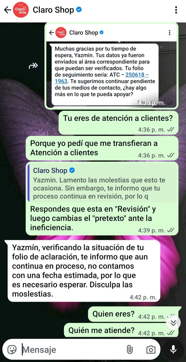 Yazmín Mezquita tweet media