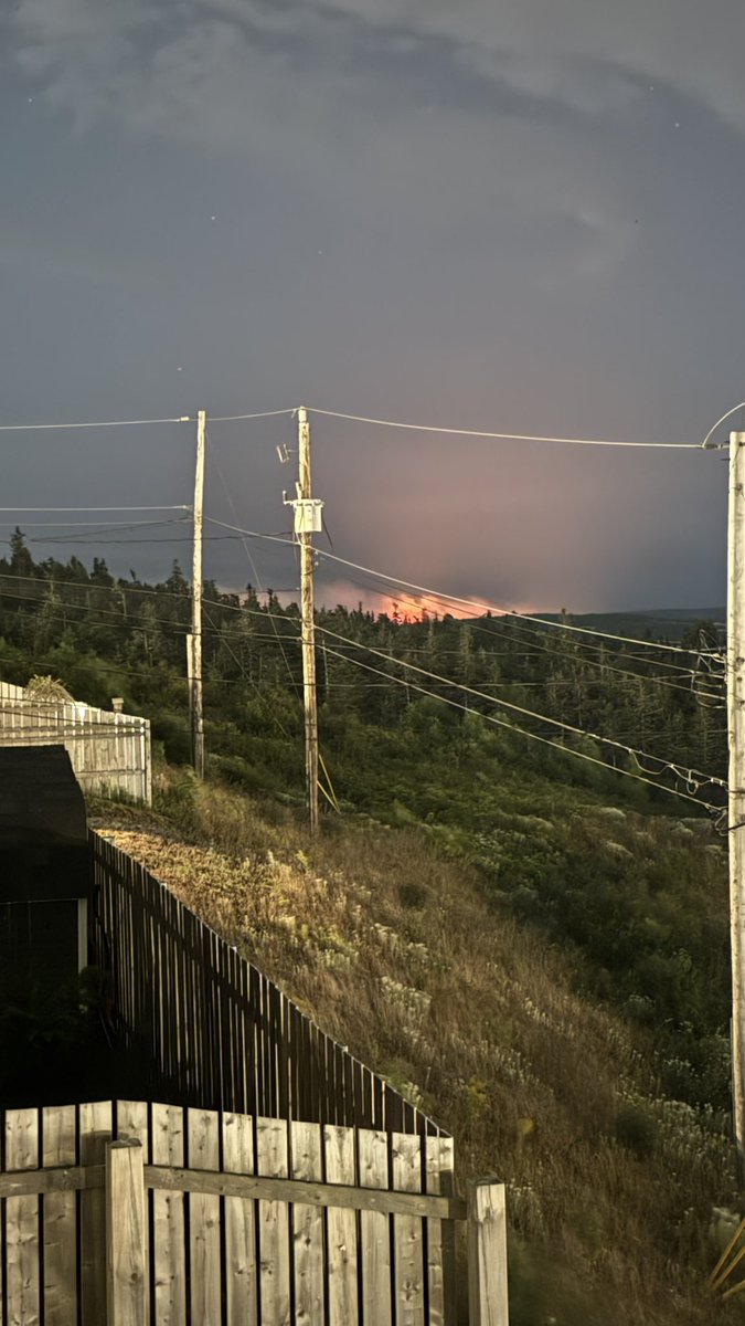 Paul Durdle 🫐🇨🇦 tweet media