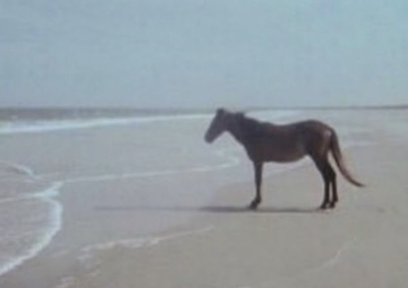 being hit with lesbian loneliness