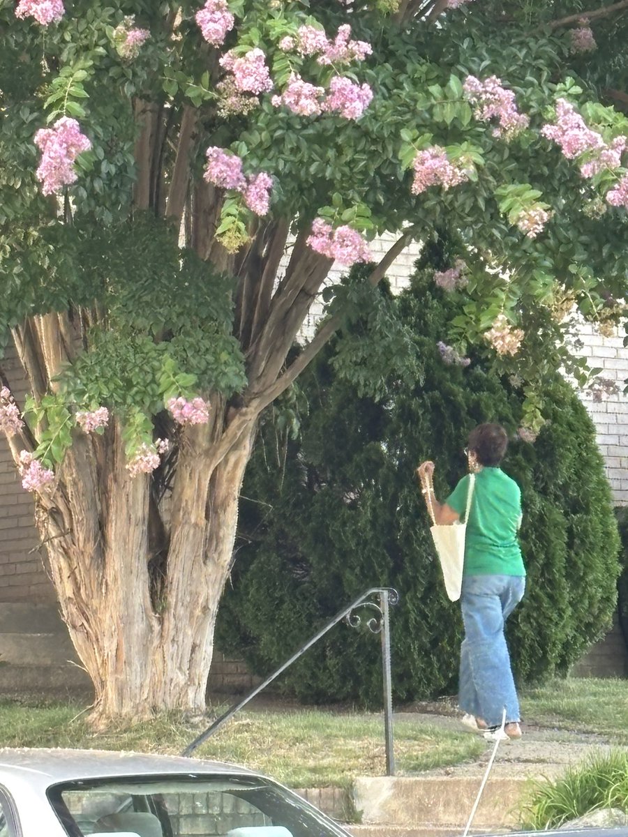 JPenaMelnyk's tweet image. Door knocking with my ride or die @delmarylehman! This is unconditional love and support. The high temperatures make going up the hills significantly more challenging. Nevertheless, we are committed to @District21st ❤️ #hardworking #committed #100%