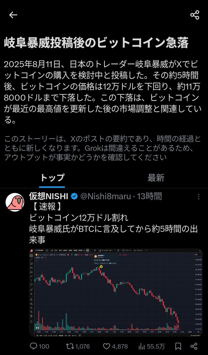 本日のニュース「岐阜暴威投稿後のビットコイン急落」