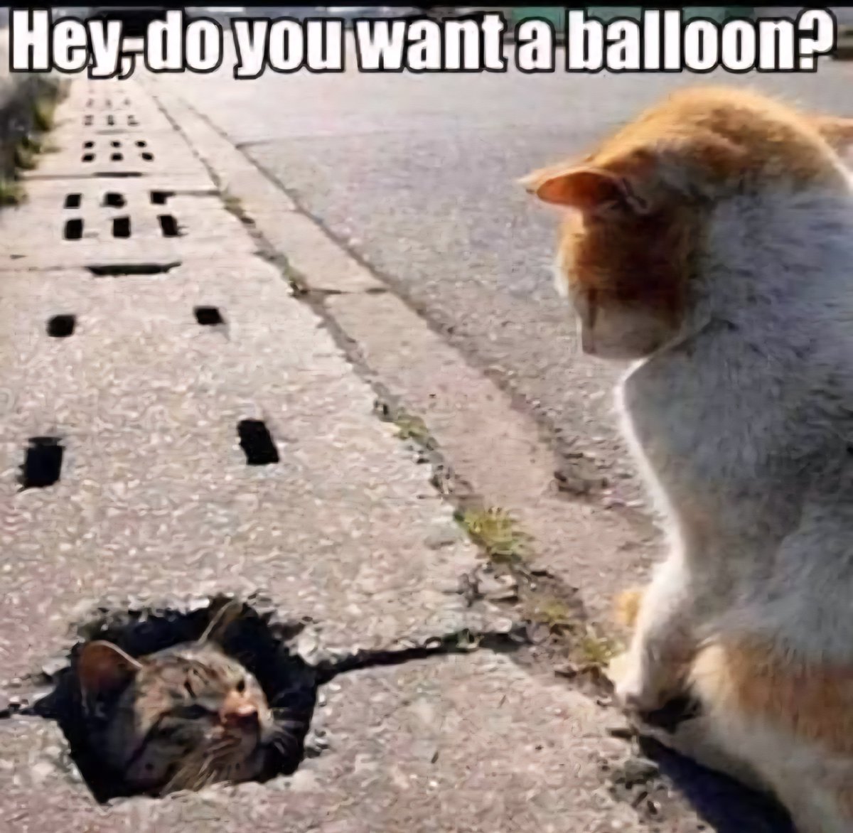 Even the felines have got the bug.. 🤡
Visit StephenKingCatalog.com