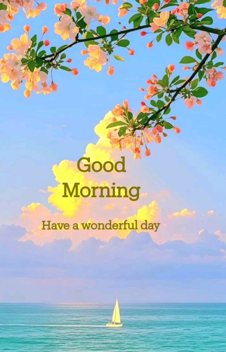 🌹 Assalam o Alekum 🌹