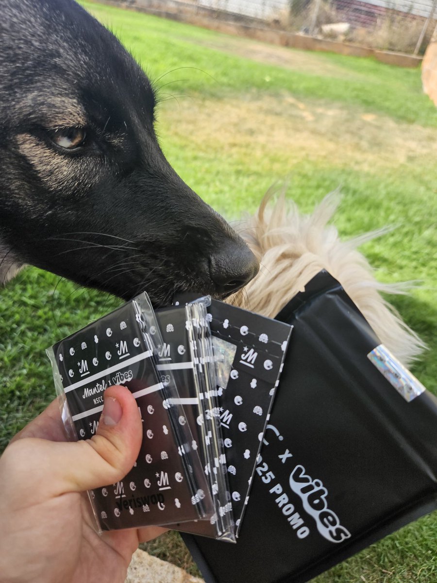 Went on a little buying spree 🐧

About to rip over 10 <a href="/onMantel/">Mantel</a> x <a href="/vibes_tcg/">Vibes (Pudgy TCG)</a> promo packs. 

*featuring the puppers and my double jointed thumb