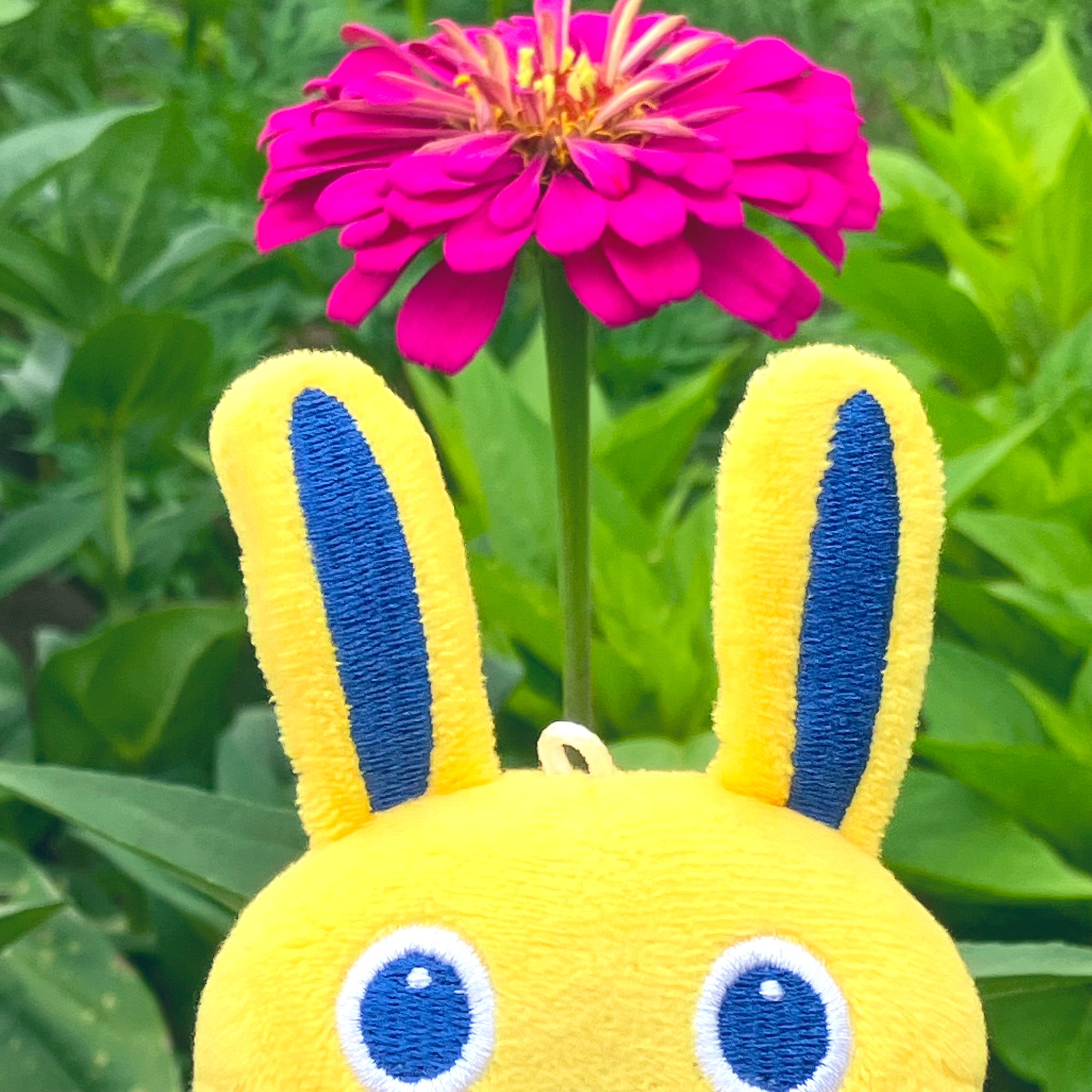 花うさぎ 楽天市場】ぬいぐるみ うさぎ ウサギ ぬいぐるみ付き フラワー
