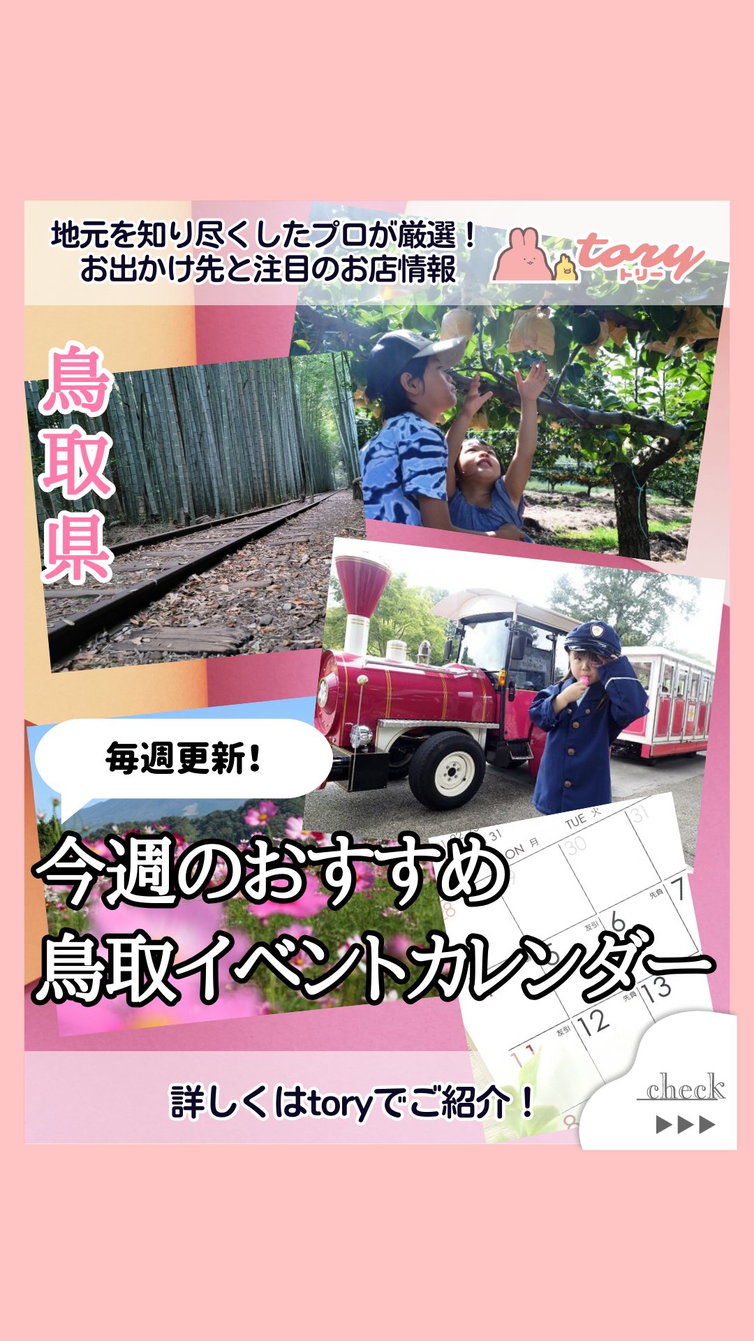 ✴︎ご成約品✴︎リピーター様　イベント割引　１点 tory(トリー) on X: 