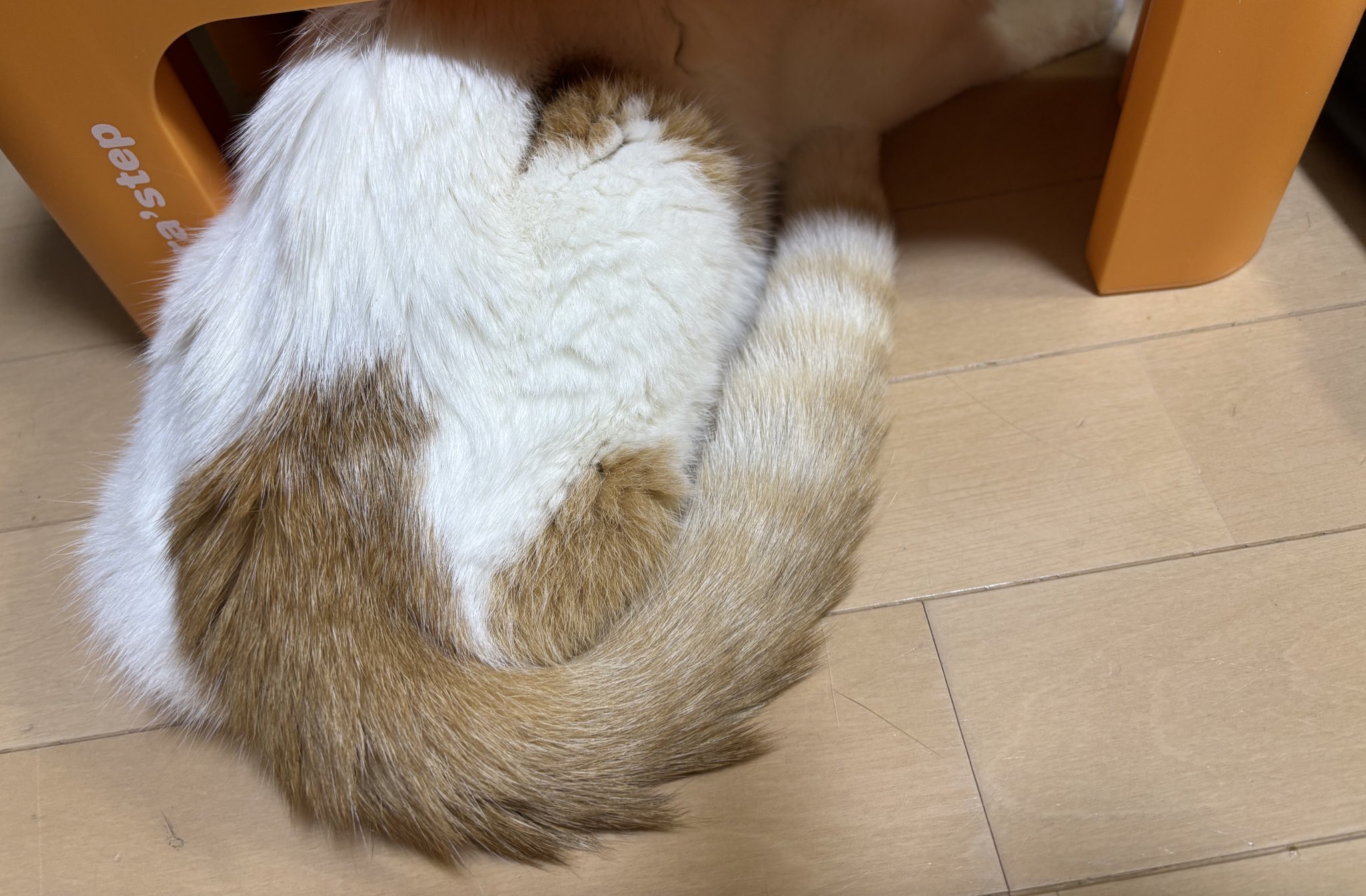 ぴーちゃん♡ ᎴᏗᎥᏕᏬᏦᏋ on X: 