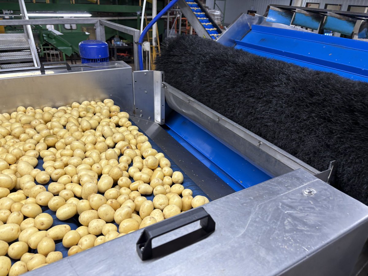 What a fun day at the Food + Farm Exploration Center for teacher PD. Got to see cold storage and Paragon Potato Packaging.  #agriculture #farming #k12 #sschat #sustainablity #everestpride #dcetastrong #wcss25 #wcss