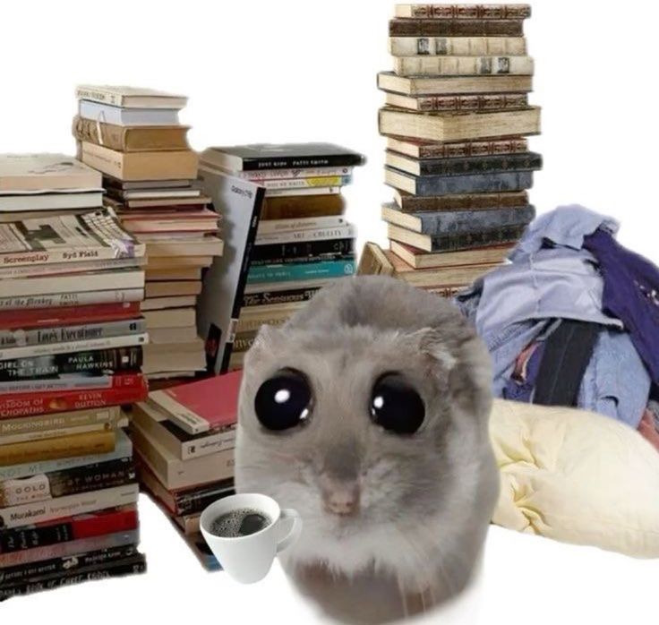 Isobel_Intriago's tweet photo. Mi cara cuando me regañan por decir que ya no tengo libros que leer... https://t.co/yQ5ckNWrPH