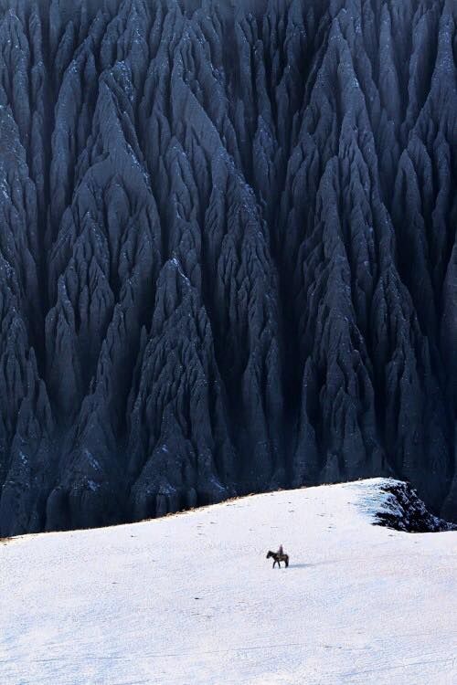 Jasper98640433's tweet photo. Time to go. The Don must mount his Rosinante and trek off into the twilight. Do something worthwhile with this life before extinction come to greet me. So, it's adios, amigos - whoever you were. https://t.co/hlAbfjWlDl