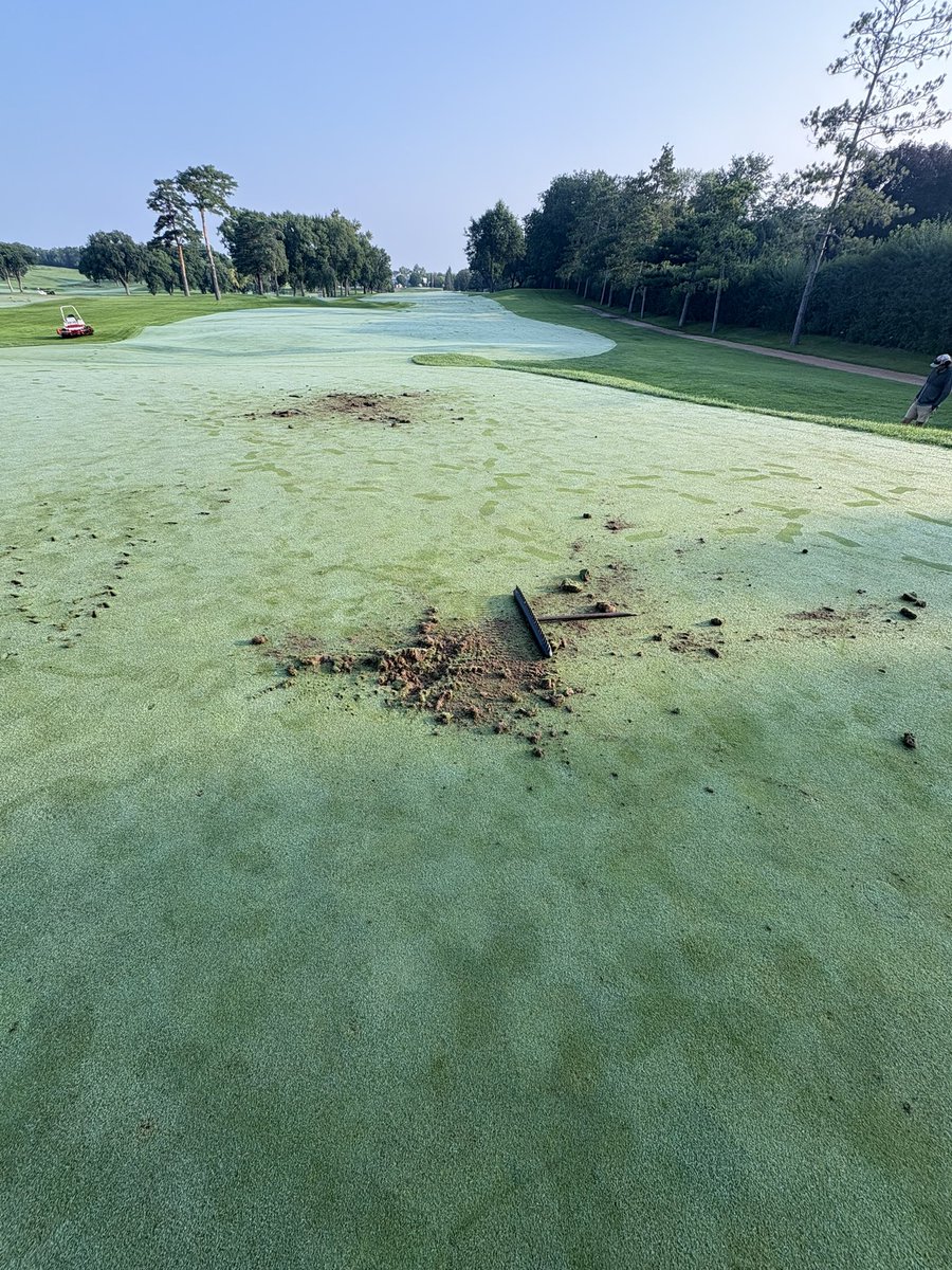 Haven’t experienced this in some time. It’s made of wood I thought it should be with its family.