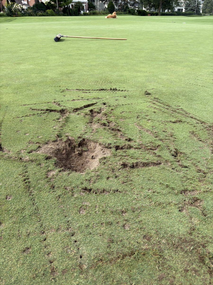 Anthony Mieske tweet media