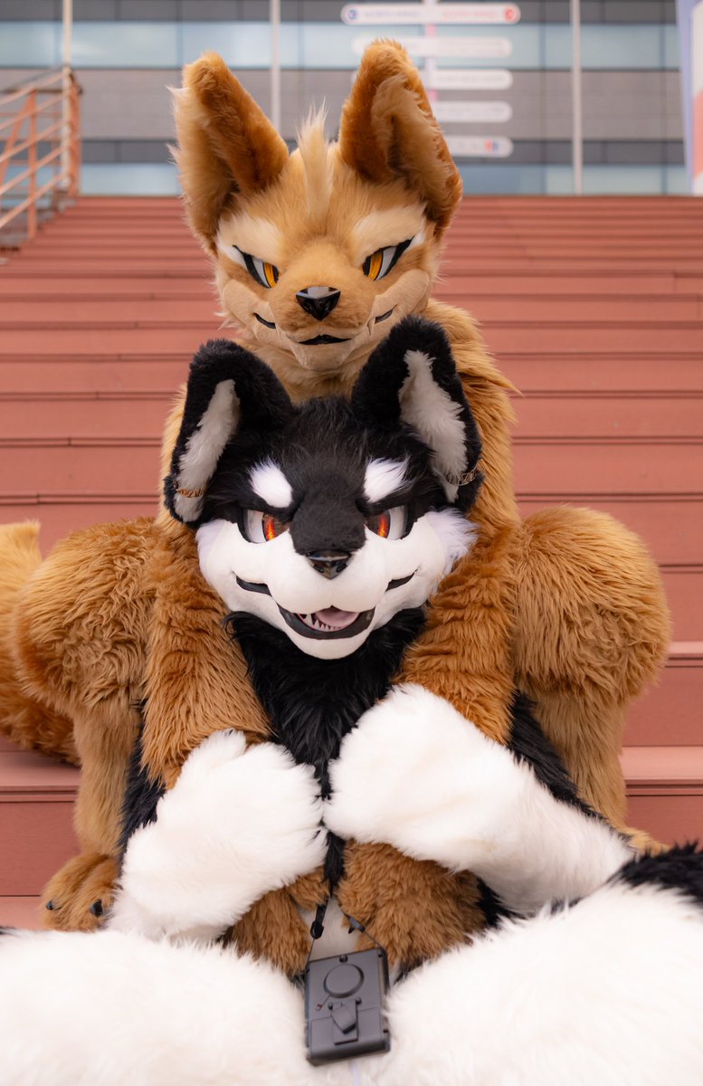 #FursuitEveryday
#犬工房