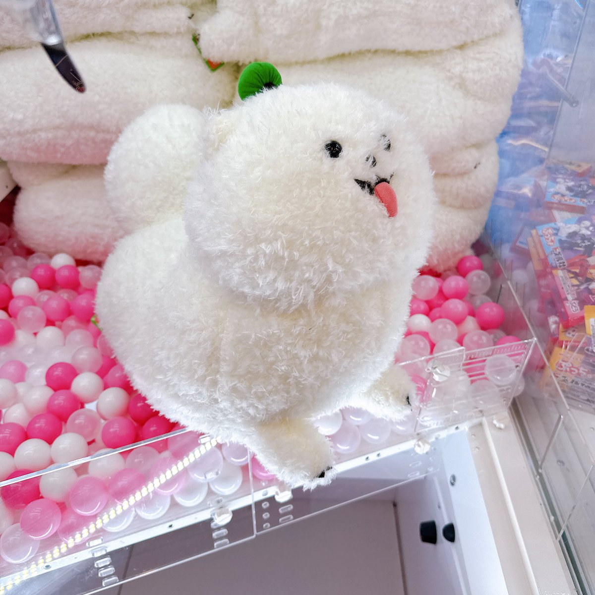 2F登場中】 18TRIPしゅうまい寝そべりBIGぬいぐるみ ご好評