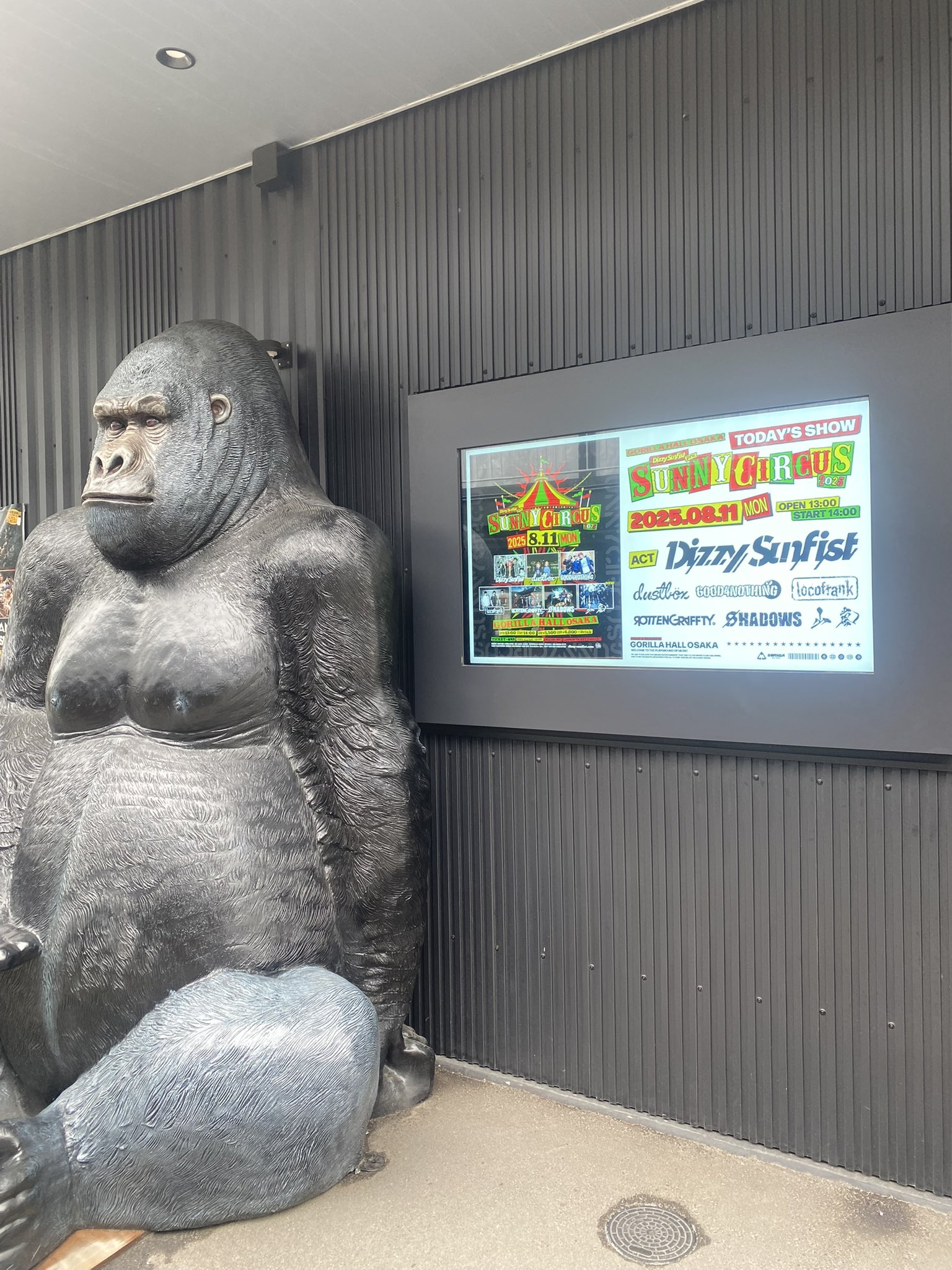gorilla様 PUBLIC GENERAL143cm shiekichi on X: 