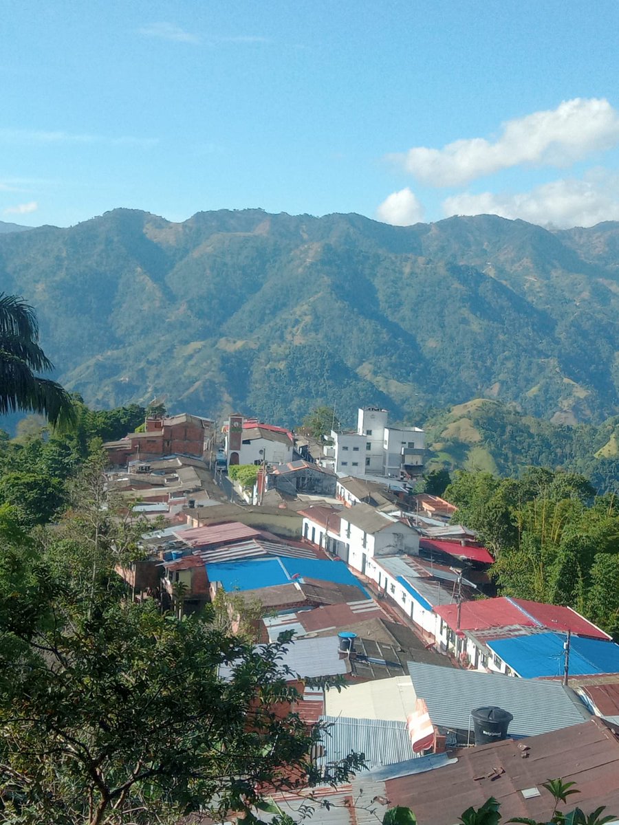 MarioAOteroV's tweet image. El domingo estuve en #Bucarasica municipio de potencia agrícola y belleza natural, compartimos en #SoyComunal las experiencias y aprendizajes, donde la organización, trabajo y persistencia son la clave. #VamosSinMiedo #LiderazgoAuténtico #MarioOtero #Devoción #Año1 #Naturaleza