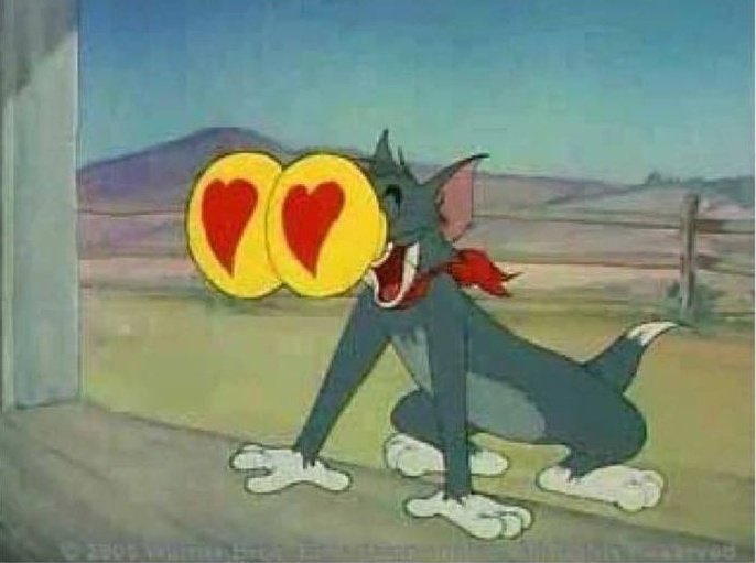 CRIS D (@cde1arosa) on Twitter photo 