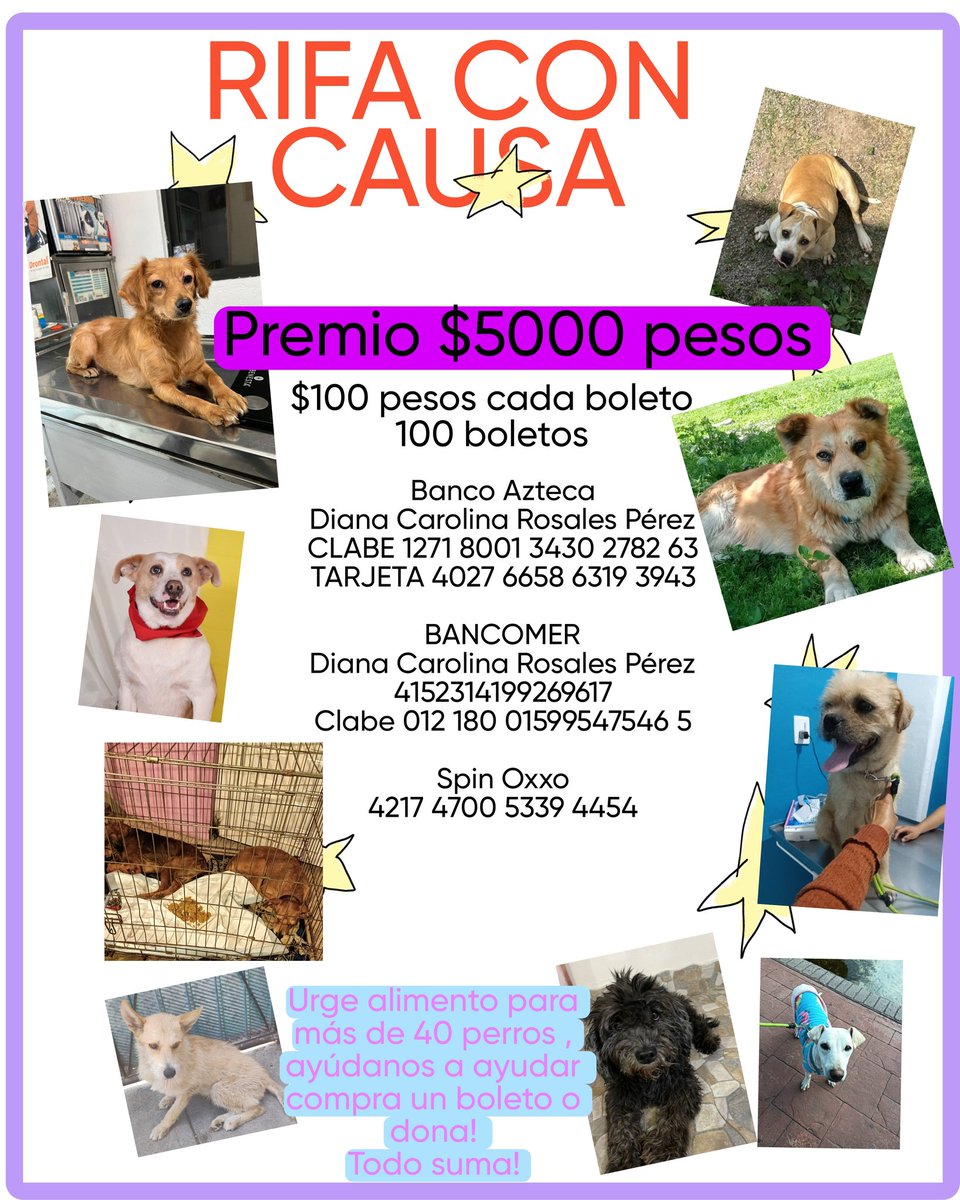 VIBRAmascotas's tweet photo. Amigos ayúdenos a seguir  ayudando , solo se han vendido 5 boletos urge por favor 🙏🏽 https://t.co/6cPNn1zijz