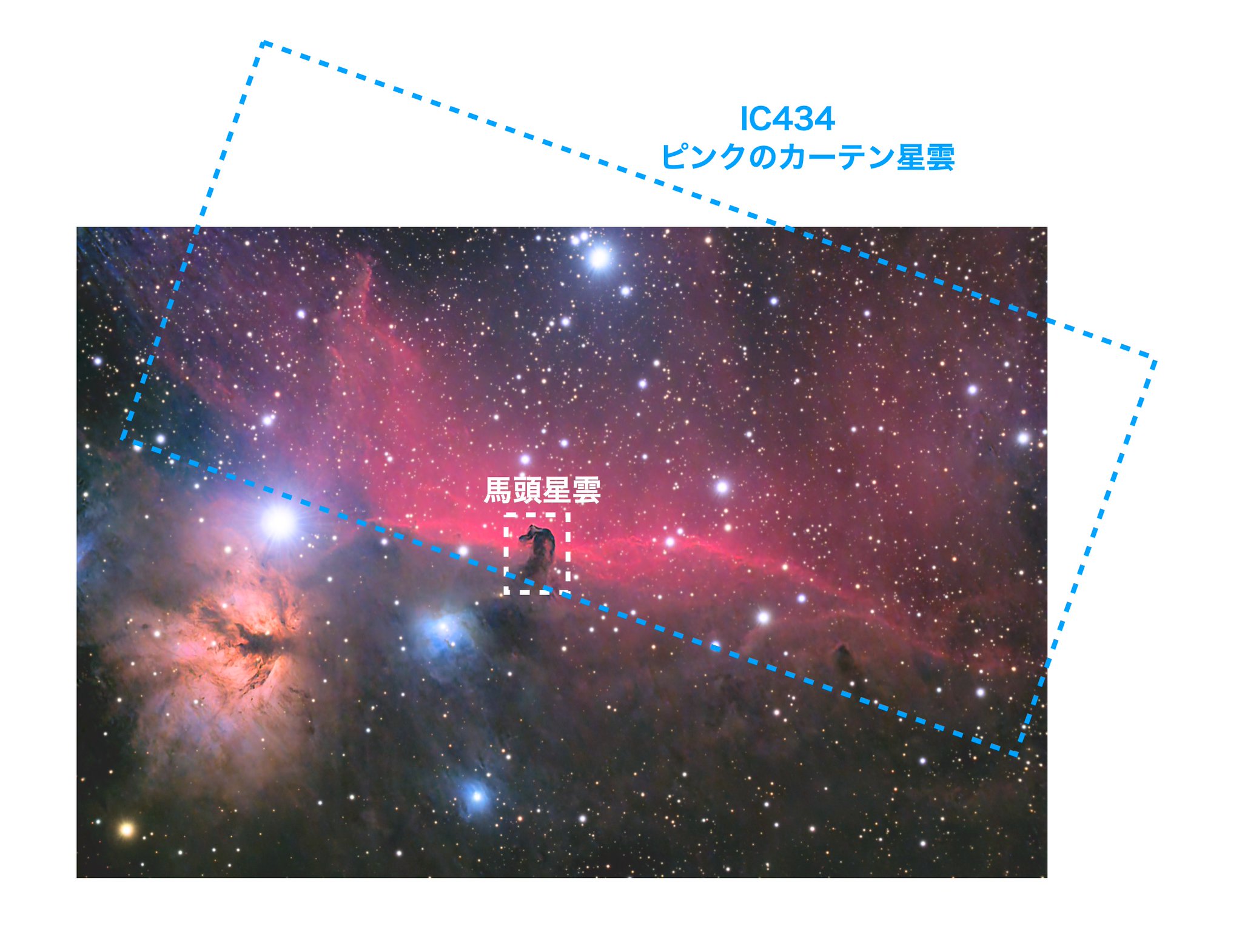 天ヶ瀬！プロフ確認お願いしますです JUNPY（JUNZO）@お気楽 銀河星雲マニア on X: 
