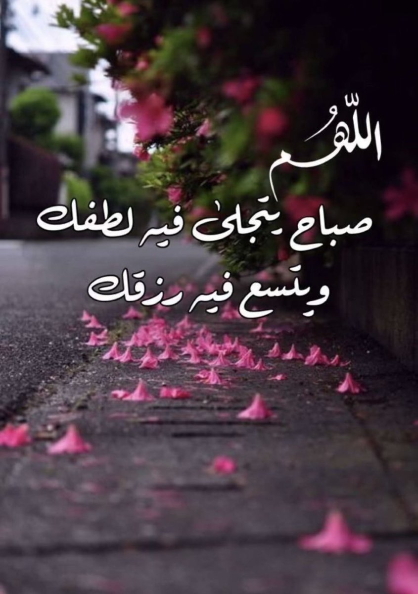 ساره tweet media