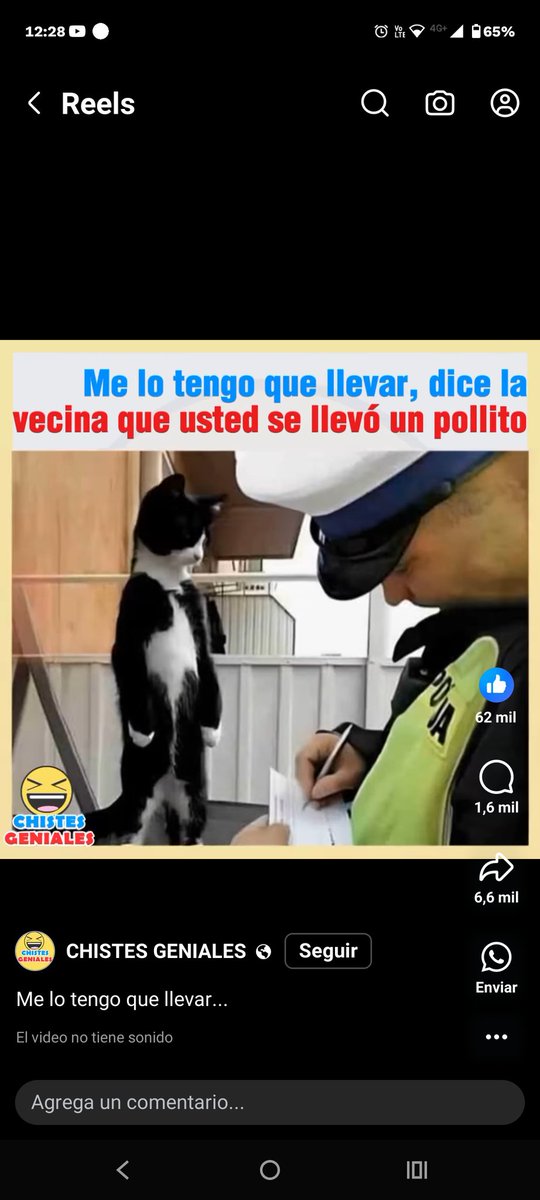 vktralonso's tweet photo. Miauuu!!! Ya valió madres!!! https://t.co/6qos6ZClgZ