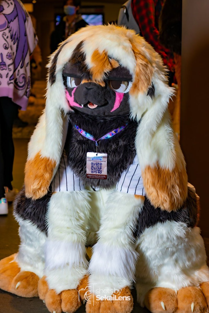 kennes🐰 (@bun_kennys) on Twitter photo #Aurawra25 #aurawra #aurawra2025 #furry #FursuitEveryday
📷<a href="/wolf_veg/">VegaWolf ➡️ AURAWRA</a>
Woof woof #Aurawra25 #aurawra #aurawra2025 #furry #FursuitEveryday
📷<a href="/wolf_veg/">VegaWolf ➡️ AURAWRA</a>
Woof woof